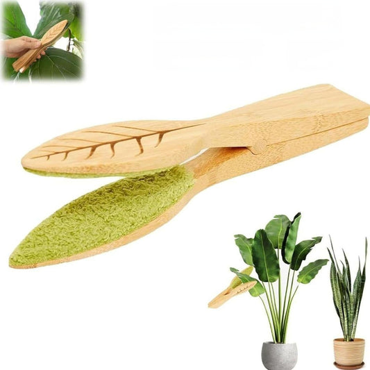 Brosse feuilles pour plantes