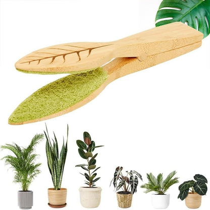 Brosse feuilles pour plantes
