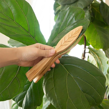 Brosse feuilles pour plantes